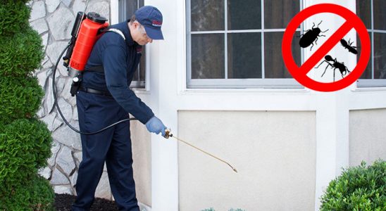 Yığılca Hamam Böceği İlaçlama böcek ilaçlama ve haşere kontrolü — ilaclama-tr.com